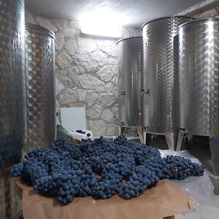 Apartman Genova Imotski Donji Vinjani エクステリア 写真